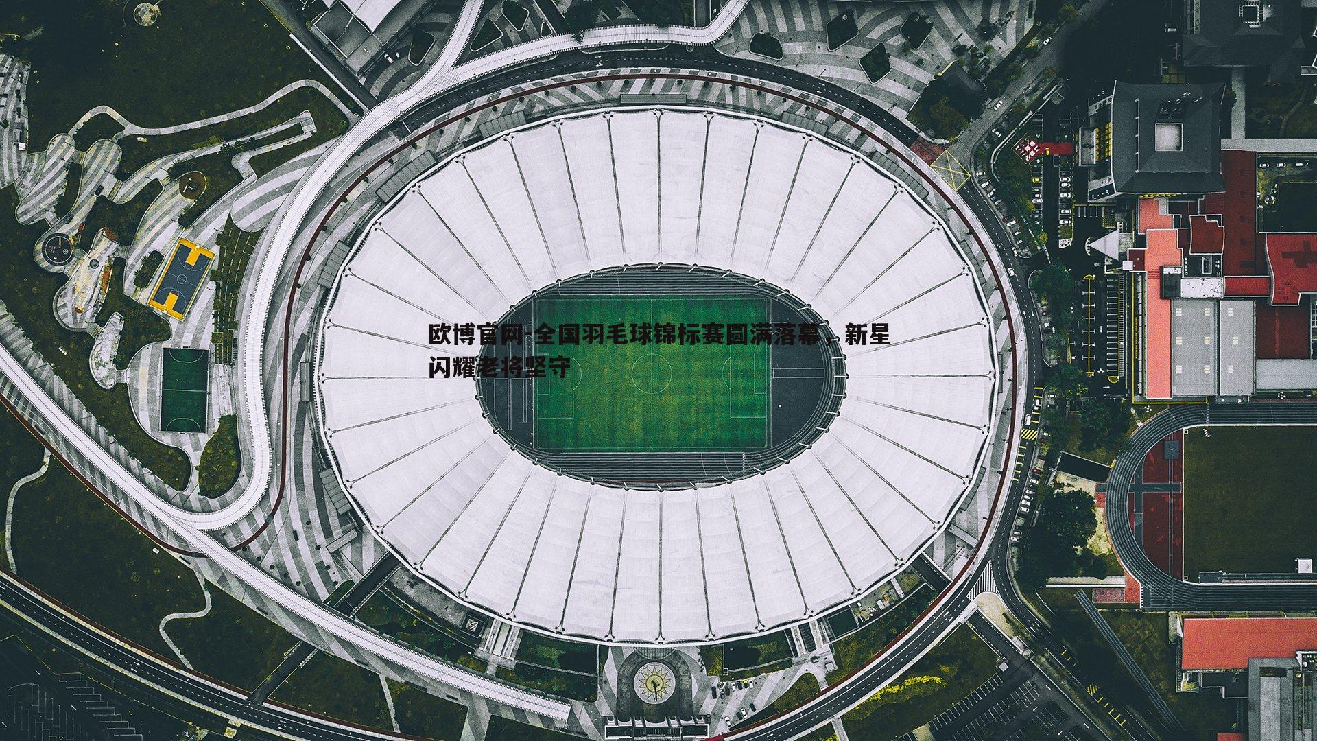 全国羽毛球锦标赛圆满落幕，新星闪耀老将坚守