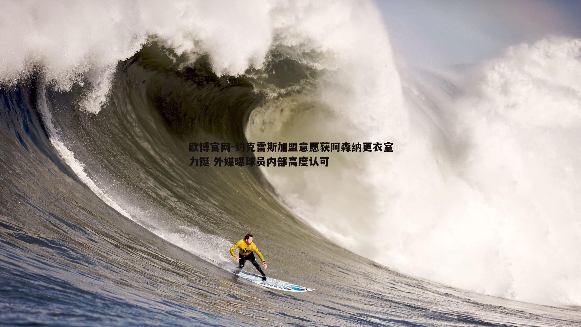 约克雷斯加盟意愿获阿森纳更衣室力挺 外媒曝球员内部高度认可